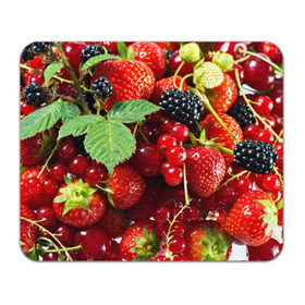 Коврик прямоугольный с принтом Любимые ягоды в Белгороде, натуральный каучук | размер 230 х 185 мм; запечатка лицевой стороны | вкусно | голубика | дача | деревня | ежевика | зелень | клубника | малина | огород | полезно | сад | смородина | сок | фрукты | черника | шиповник | ягоды