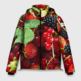 Мужская зимняя куртка 3D с принтом Любимые ягоды в Белгороде, верх — 100% полиэстер; подкладка — 100% полиэстер; утеплитель — 100% полиэстер | длина ниже бедра, свободный силуэт Оверсайз. Есть воротник-стойка, отстегивающийся капюшон и ветрозащитная планка. 

Боковые карманы с листочкой на кнопках и внутренний карман на молнии. | Тематика изображения на принте: вкусно | голубика | дача | деревня | ежевика | зелень | клубника | малина | огород | полезно | сад | смородина | сок | фрукты | черника | шиповник | ягоды