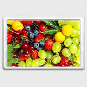 Магнит 45*70 с принтом Вкусные ягоды в Белгороде, Пластик | Размер: 78*52 мм; Размер печати: 70*45 | виноград | вкусно | голубика | дача | деревня | ежевика | клубника | малина | огород | полезно | рябина | сад | смородина | сок | фрукты | черника | ягоды