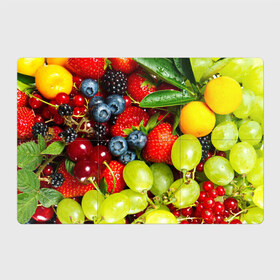 Магнитный плакат 3Х2 с принтом Вкусные ягоды в Белгороде, Полимерный материал с магнитным слоем | 6 деталей размером 9*9 см | виноград | вкусно | голубика | дача | деревня | ежевика | клубника | малина | огород | полезно | рябина | сад | смородина | сок | фрукты | черника | ягоды