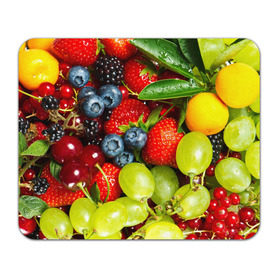 Коврик прямоугольный с принтом Вкусные ягоды в Белгороде, натуральный каучук | размер 230 х 185 мм; запечатка лицевой стороны | виноград | вкусно | голубика | дача | деревня | ежевика | клубника | малина | огород | полезно | рябина | сад | смородина | сок | фрукты | черника | ягоды