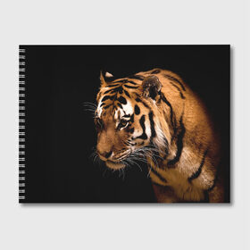 Альбом для рисования с принтом Тигр в Белгороде, 100% бумага
 | матовая бумага, плотность 200 мг. | полосы | хищник
