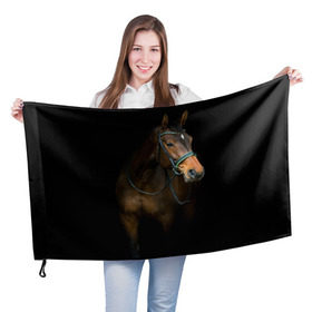 Флаг 3D с принтом Породистый жеребец в Белгороде, 100% полиэстер | плотность ткани — 95 г/м2, размер — 67 х 109 см. Принт наносится с одной стороны | жеребец | животные | конь | лошадка | лошадь | погоня | седло | скакун | скачки | узда