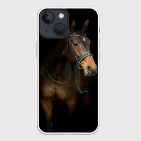 Чехол для iPhone 13 mini с принтом Породистый жеребец в Белгороде,  |  | жеребец | животные | конь | лошадка | лошадь | погоня | седло | скакун | скачки | узда