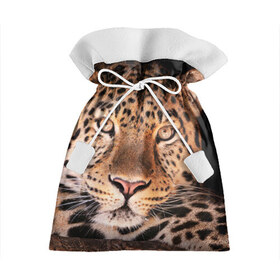 Подарочный 3D мешок с принтом Леопард в Белгороде, 100% полиэстер | Размер: 29*39 см | Тематика изображения на принте: гепард | грация | дикая кошка | добыча | животные | леопард | ловкость | опасность | пятна | хищник | ягуар