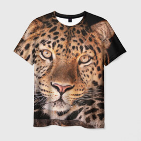 Мужская футболка 3D с принтом Леопард в Белгороде, 100% полиэфир | прямой крой, круглый вырез горловины, длина до линии бедер | Тематика изображения на принте: гепард | грация | дикая кошка | добыча | животные | леопард | ловкость | опасность | пятна | хищник | ягуар