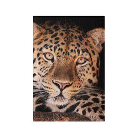 Обложка для паспорта матовая кожа с принтом Леопард в Белгороде, натуральная матовая кожа | размер 19,3 х 13,7 см; прозрачные пластиковые крепления | гепард | грация | дикая кошка | добыча | животные | леопард | ловкость | опасность | пятна | хищник | ягуар