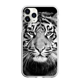 Чехол для iPhone 11 Pro матовый с принтом Красавец тигр в Белгороде, Силикон |  | джунгли | дикая кошка | животные | зверь | король | кровь | мясо | опасность | охотник | тигр | хищник | царь | цирк