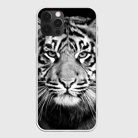 Чехол для iPhone 12 Pro Max с принтом Красавец тигр в Белгороде, Силикон |  | Тематика изображения на принте: джунгли | дикая кошка | животные | зверь | король | кровь | мясо | опасность | охотник | тигр | хищник | царь | цирк