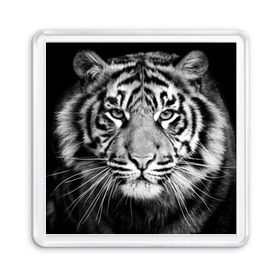 Магнит 55*55 с принтом Красавец тигр в Белгороде, Пластик | Размер: 65*65 мм; Размер печати: 55*55 мм | джунгли | дикая кошка | животные | зверь | король | кровь | мясо | опасность | охотник | тигр | хищник | царь | цирк