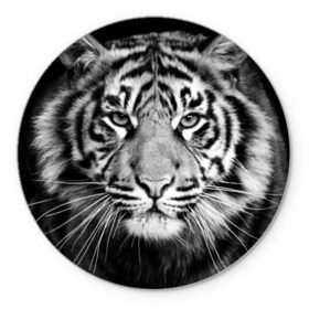 Коврик круглый с принтом Красавец тигр в Белгороде, резина и полиэстер | круглая форма, изображение наносится на всю лицевую часть | джунгли | дикая кошка | животные | зверь | король | кровь | мясо | опасность | охотник | тигр | хищник | царь | цирк
