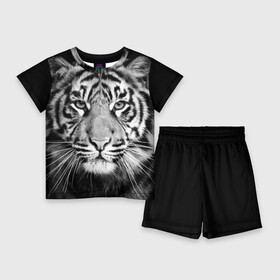 Детский костюм с шортами 3D с принтом Красавец тигр в Белгороде,  |  | джунгли | дикая кошка | животные | зверь | король | кровь | мясо | опасность | охотник | тигр | хищник | царь | цирк