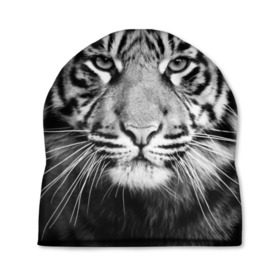 Шапка 3D с принтом Красавец тигр в Белгороде, 100% полиэстер | универсальный размер, печать по всей поверхности изделия | Тематика изображения на принте: джунгли | дикая кошка | животные | зверь | король | кровь | мясо | опасность | охотник | тигр | хищник | царь | цирк