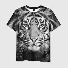 Мужская футболка 3D с принтом Красавец тигр в Белгороде, 100% полиэфир | прямой крой, круглый вырез горловины, длина до линии бедер | джунгли | дикая кошка | животные | зверь | король | кровь | мясо | опасность | охотник | тигр | хищник | царь | цирк