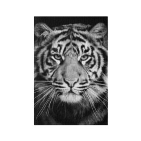 Обложка для паспорта матовая кожа с принтом Красавец тигр в Белгороде, натуральная матовая кожа | размер 19,3 х 13,7 см; прозрачные пластиковые крепления | джунгли | дикая кошка | животные | зверь | король | кровь | мясо | опасность | охотник | тигр | хищник | царь | цирк