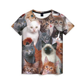 Женская футболка 3D с принтом Котики в Белгороде, 100% полиэфир ( синтетическое хлопкоподобное полотно) | прямой крой, круглый вырез горловины, длина до линии бедер | cat | cats | кот | котик | коты | котята