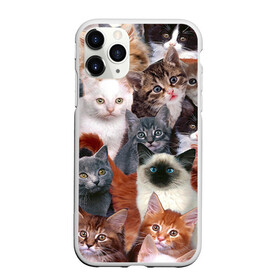 Чехол для iPhone 11 Pro матовый с принтом Котики в Белгороде, Силикон |  | cat | cats | кот | котик | коты | котята