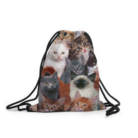 Рюкзак-мешок 3D с принтом Котики в Белгороде, 100% полиэстер | плотность ткани — 200 г/м2, размер — 35 х 45 см; лямки — толстые шнурки, застежка на шнуровке, без карманов и подкладки | cat | cats | кот | котик | коты | котята