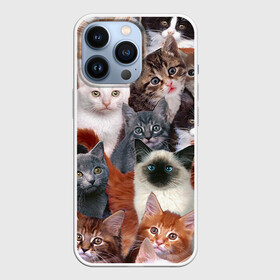 Чехол для iPhone 13 Pro с принтом Котики в Белгороде,  |  | cat | cats | кот | котик | коты | котята