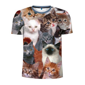 Мужская футболка 3D спортивная с принтом Котики в Белгороде, 100% полиэстер с улучшенными характеристиками | приталенный силуэт, круглая горловина, широкие плечи, сужается к линии бедра | cat | cats | кот | котик | коты | котята