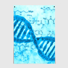 Постер с принтом ДНК в Белгороде, 100% бумага
 | бумага, плотность 150 мг. Матовая, но за счет высокого коэффициента гладкости имеет небольшой блеск и дает на свету блики, но в отличии от глянцевой бумаги не покрыта лаком | абстракция | биология | днк | молекула | синяя.цепочка | формула