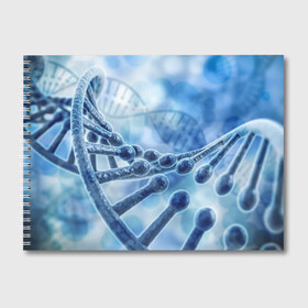 Альбом для рисования с принтом Молекула ДНК в Белгороде, 100% бумага
 | матовая бумага, плотность 200 мг. | dna | биохимия | внешность | ген | генетика | днк | молекула | наследственность | спираль | способности | структура | характер | черты