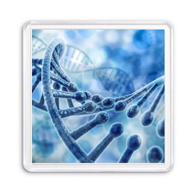 Магнит 55*55 с принтом Молекула ДНК в Белгороде, Пластик | Размер: 65*65 мм; Размер печати: 55*55 мм | dna | биохимия | внешность | ген | генетика | днк | молекула | наследственность | спираль | способности | структура | характер | черты