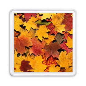 Магнит 55*55 с принтом Осень на дворе в Белгороде, Пластик | Размер: 65*65 мм; Размер печати: 55*55 мм | бордовый | жёлтый | красный | листва | листья