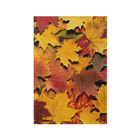 Обложка для паспорта матовая кожа с принтом Осень на дворе в Белгороде, натуральная матовая кожа | размер 19,3 х 13,7 см; прозрачные пластиковые крепления | бордовый | жёлтый | красный | листва | листья