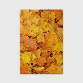 Обложка для паспорта матовая кожа с принтом Золотая листва в Белгороде, натуральная матовая кожа | размер 19,3 х 13,7 см; прозрачные пластиковые крепления | жёлтый осень | золото | листья