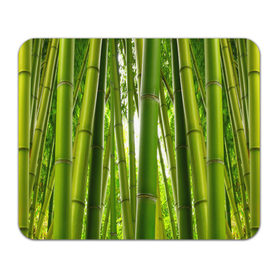 Коврик прямоугольный с принтом Бамбук в Белгороде, натуральный каучук | размер 230 х 185 мм; запечатка лицевой стороны | Тематика изображения на принте: бамбук | зеленая | растения