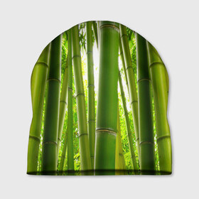 Шапка 3D с принтом Бамбук в Белгороде, 100% полиэстер | универсальный размер, печать по всей поверхности изделия | Тематика изображения на принте: бамбук | зеленая | растения