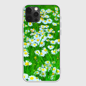 Чехол для iPhone 12 Pro Max с принтом Ромашки в Белгороде, Силикон |  | Тематика изображения на принте: поле | природа | ромашка | цветы