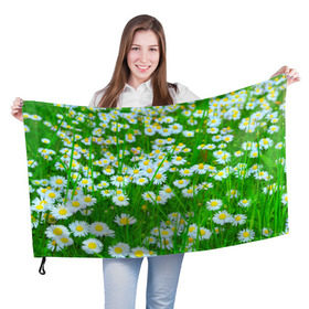 Флаг 3D с принтом Ромашки в Белгороде, 100% полиэстер | плотность ткани — 95 г/м2, размер — 67 х 109 см. Принт наносится с одной стороны | поле | природа | ромашка | цветы