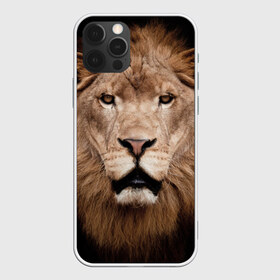 Чехол для iPhone 12 Pro Max с принтом Царь зверей в Белгороде, Силикон |  | Тематика изображения на принте: власть | дикая кошка | животное | король джунглей | лев | львица | мощь | мудрость | охотник | сила | хитрость | хищник | царь зверей
