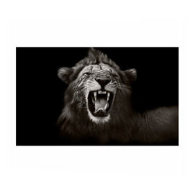Бумага для упаковки 3D с принтом Разъярённый лев в Белгороде, пластик и полированная сталь | круглая форма, металлическое крепление в виде кольца | власть | дикая кошка | животное | король джунглей | лев | львица | мощь | мудрость | охотник | сила | хитрость | хищник | царь зверей