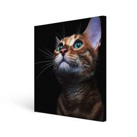 Холст квадратный с принтом Милый котик в Белгороде, 100% ПВХ |  | кошка | темный | фото