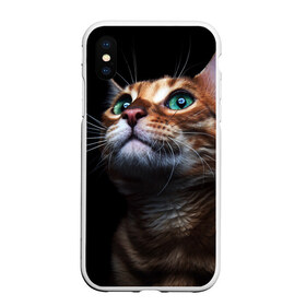 Чехол для iPhone XS Max матовый с принтом Милый котик в Белгороде, Силикон | Область печати: задняя сторона чехла, без боковых панелей | кошка | темный | фото