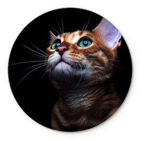 Коврик круглый с принтом Милый котик в Белгороде, резина и полиэстер | круглая форма, изображение наносится на всю лицевую часть | Тематика изображения на принте: кошка | темный | фото