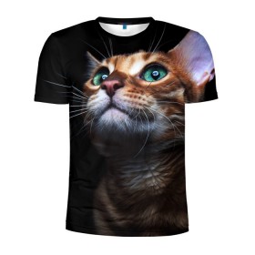 Мужская футболка 3D спортивная с принтом Милый котик в Белгороде, 100% полиэстер с улучшенными характеристиками | приталенный силуэт, круглая горловина, широкие плечи, сужается к линии бедра | кошка | темный | фото