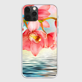 Чехол для iPhone 12 Pro Max с принтом Цветы над водой в Белгороде, Силикон |  | букет | вода | душистый аромат | озеро | приятный запах | пруд | растение | цветок | цветы