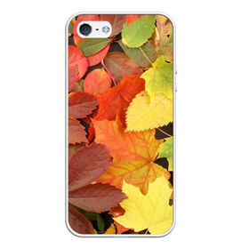Чехол силиконовый для Телефон Apple iPhone 5/5S с принтом Осенние листья в Белгороде, Силикон | Область печати: задняя сторона чехла, без боковых панелей | жёлтый | красный | листва | оранжевый | осень