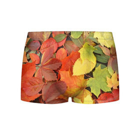 Мужские трусы 3D с принтом Осенние листья в Белгороде, 50% хлопок, 50% полиэстер | классическая посадка, на поясе мягкая тканевая резинка | жёлтый | красный | листва | оранжевый | осень