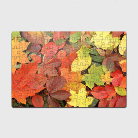 Пазл магнитный 126 элементов с принтом Осенние листья в Белгороде, полимерный материал с магнитным слоем | 126 деталей, размер изделия —  180*270 мм | жёлтый | красный | листва | оранжевый | осень