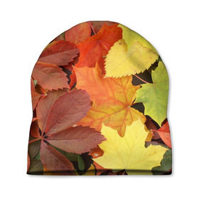 Шапка 3D с принтом Осенние листья в Белгороде, 100% полиэстер | универсальный размер, печать по всей поверхности изделия | жёлтый | красный | листва | оранжевый | осень