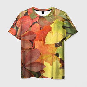 Мужская футболка 3D с принтом Осенние листья в Белгороде, 100% полиэфир | прямой крой, круглый вырез горловины, длина до линии бедер | жёлтый | красный | листва | оранжевый | осень