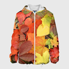 Мужская куртка 3D с принтом Осенние листья в Белгороде, ткань верха — 100% полиэстер, подклад — флис | прямой крой, подол и капюшон оформлены резинкой с фиксаторами, два кармана без застежек по бокам, один большой потайной карман на груди. Карман на груди застегивается на липучку | жёлтый | красный | листва | оранжевый | осень