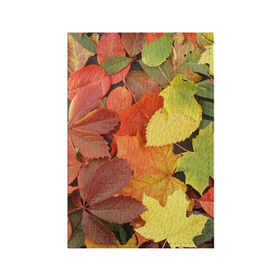 Обложка для паспорта матовая кожа с принтом Осенние листья в Белгороде, натуральная матовая кожа | размер 19,3 х 13,7 см; прозрачные пластиковые крепления | жёлтый | красный | листва | оранжевый | осень