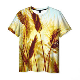 Мужская футболка 3D с принтом Колос в Белгороде, 100% полиэфир | прямой крой, круглый вырез горловины, длина до линии бедер | желтый | злаки | поле | пшеница