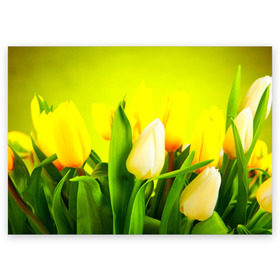 Поздравительная открытка с принтом Тюльпаны в Белгороде, 100% бумага | плотность бумаги 280 г/м2, матовая, на обратной стороне линовка и место для марки
 | букет | поле | природа | тюльпаны | цветы